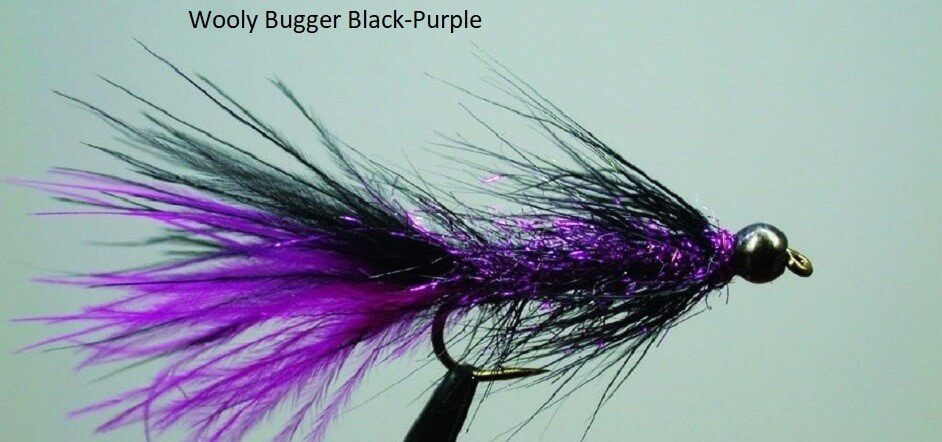 Wooly Bugger Black-Purple
